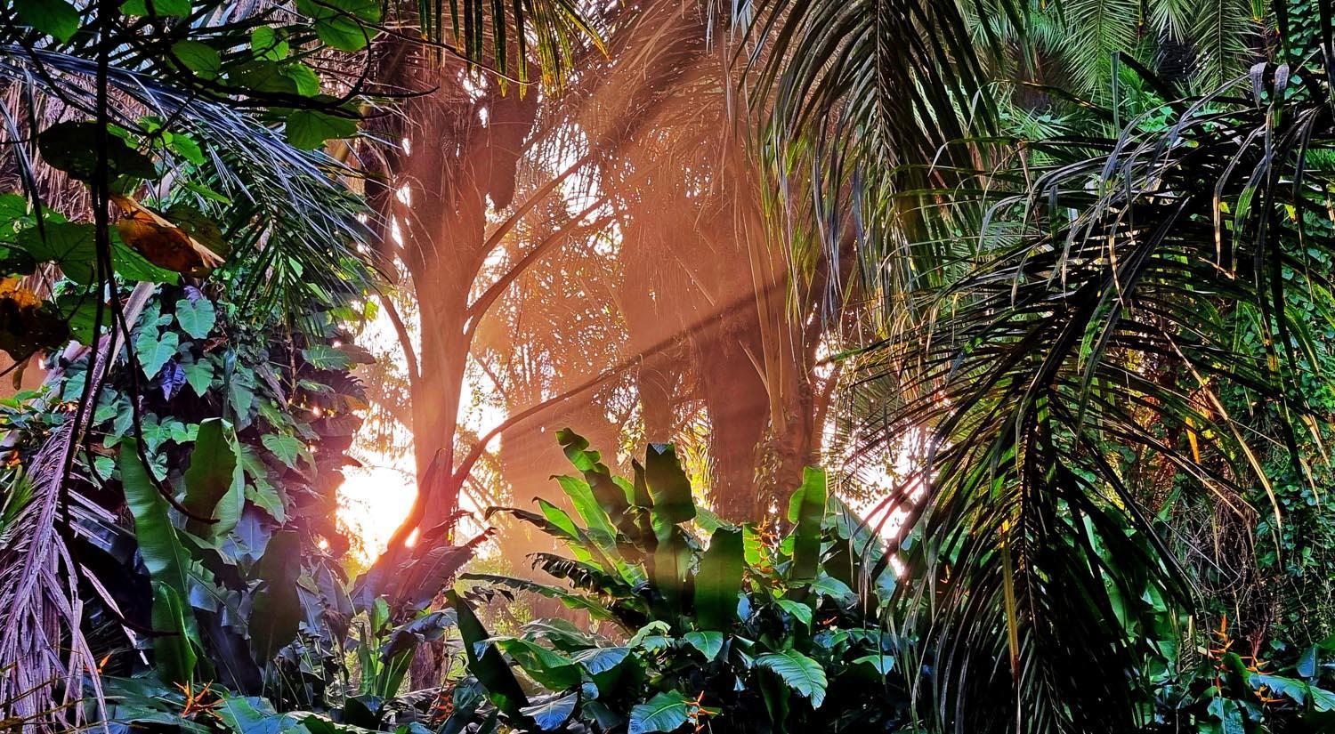 Lodge Malakai Eco *