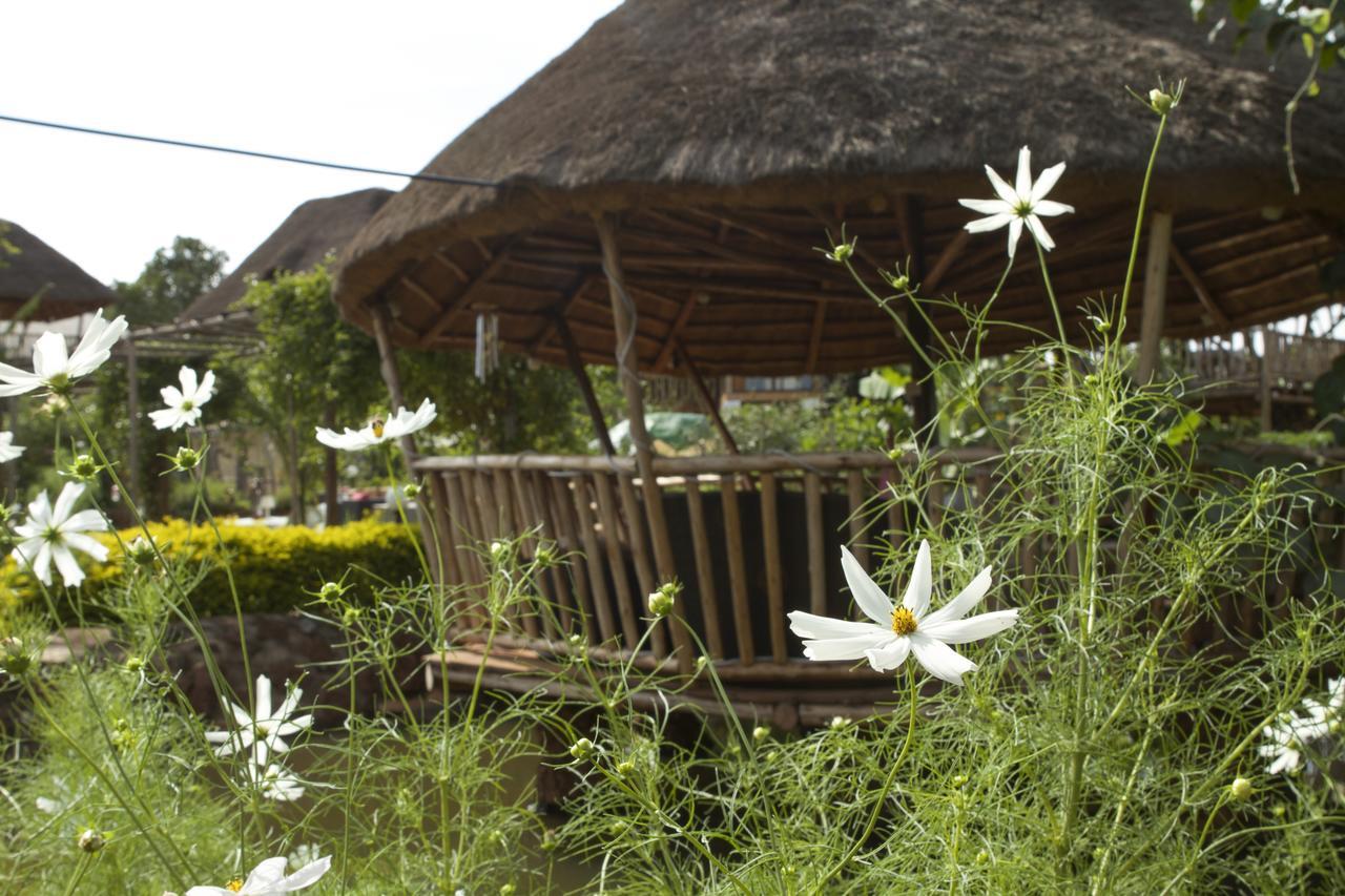 Malakai Eco * Kitende