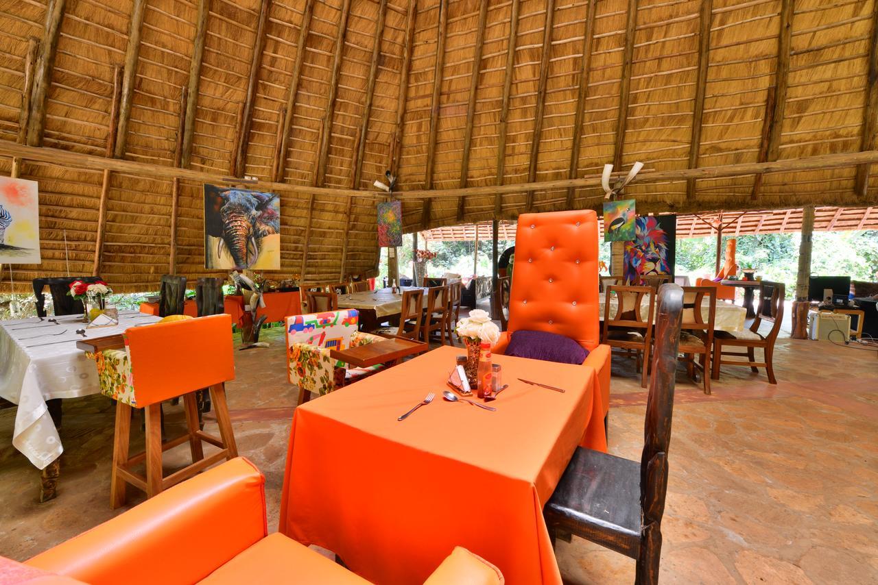 Lodge Malakai Eco *